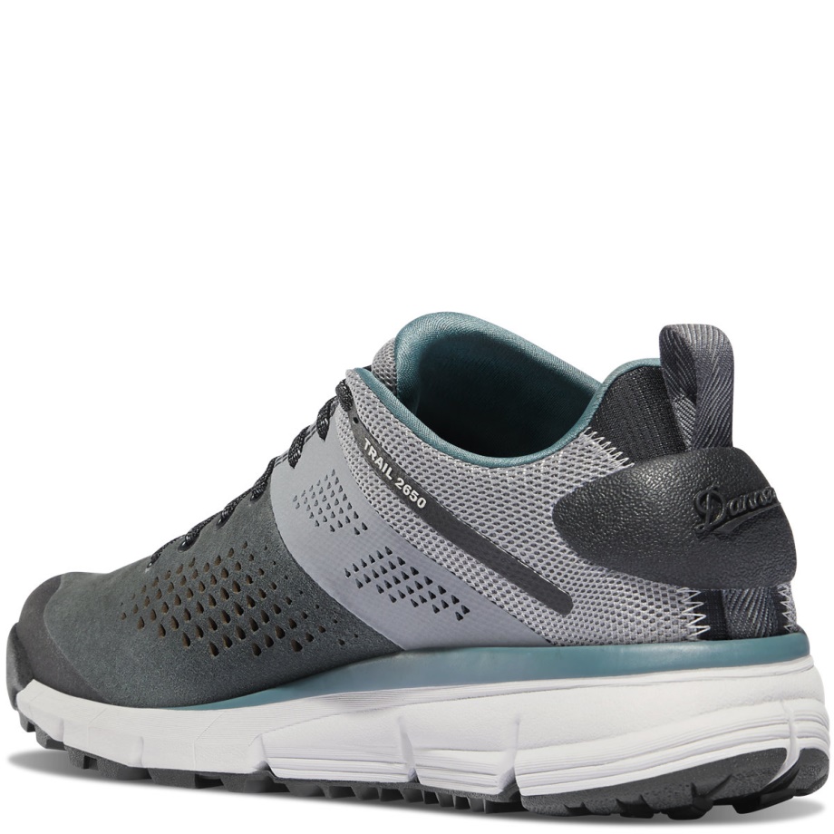 Traseul 2650 Carbune/Goblin Blue Danner